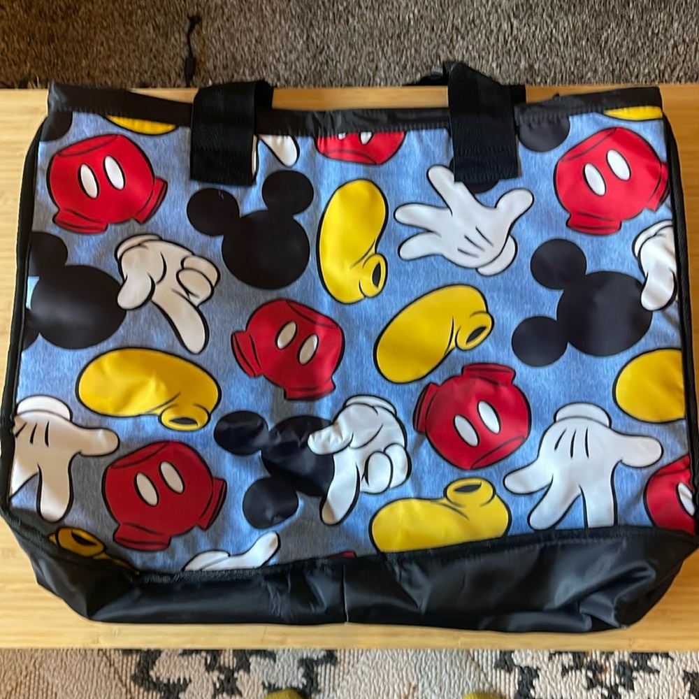 Disney bag